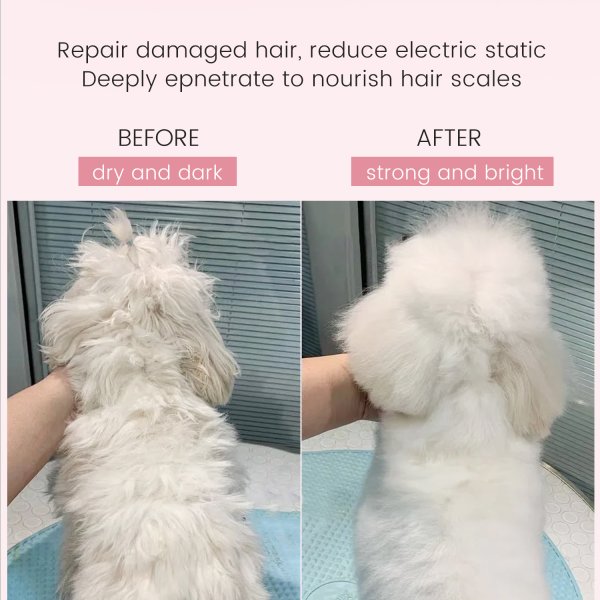 SHMM UK Fast Clean Shampoo