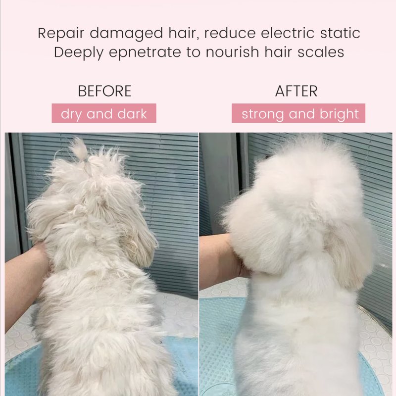 SHMM UK Fast Clean Shampoo