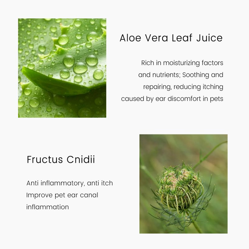 SHMM UK Pet Ear Cleanser