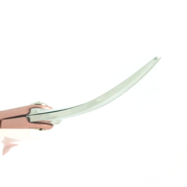 Premium S5 Curved Pet Grooming Scissors 6.25 Inch Pink | SHMM UK